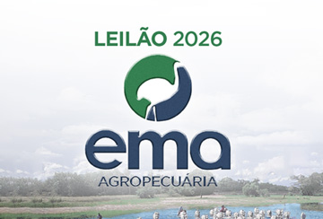 LEILÃO EMA AGROPECUÁRIA 2026